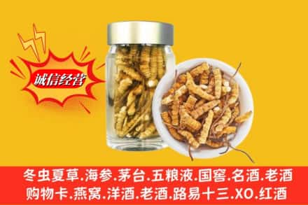 平远县回收散虫草