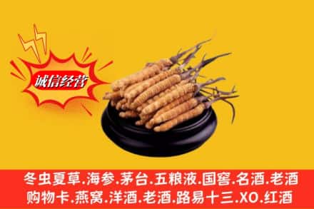 平远县求购回收虫草多少钱每克